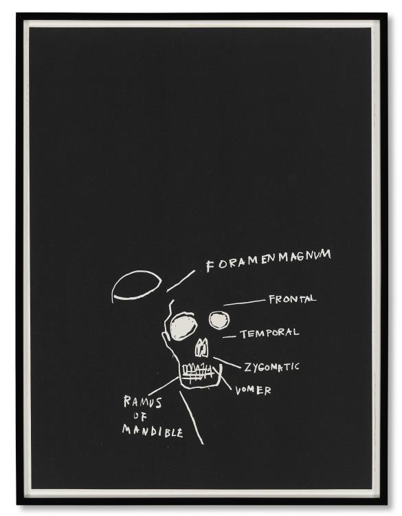 Anatomy - Image 2 of 8