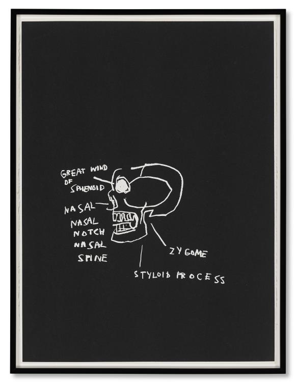 Anatomy - Image 4 of 8