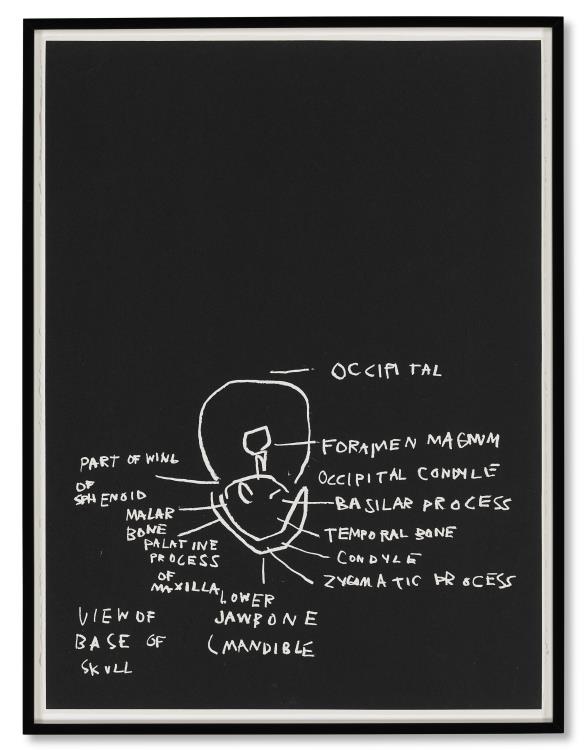 Anatomy - Image 6 of 8