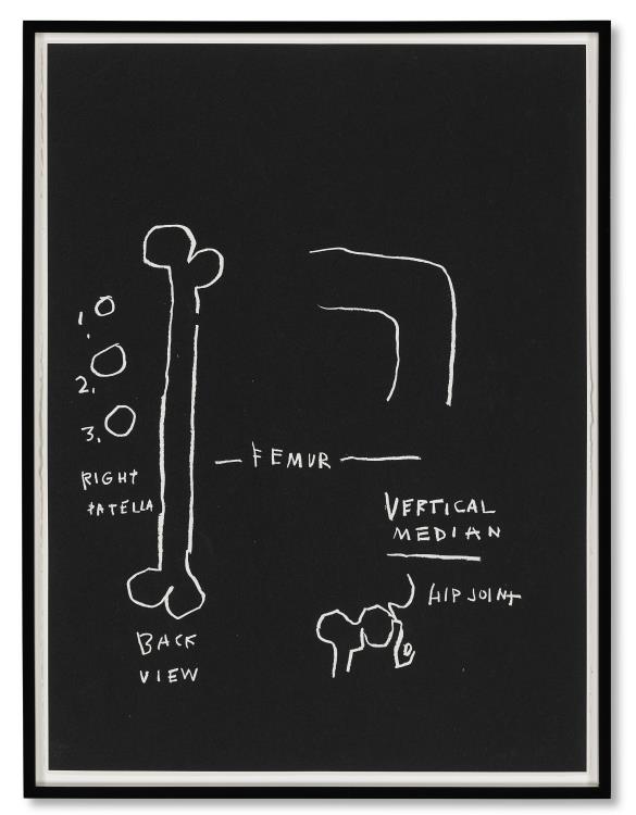 Anatomy - Image 8 of 8