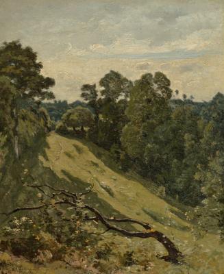 Forêt de Fontainebleau