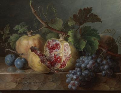 Pomegranates, Grapes and Plums on a Marble Ledge
