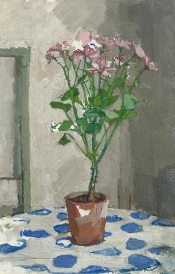 Pink Potted Flowers on Cloth with Blue Design