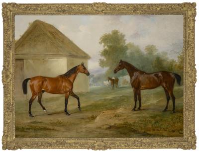 Collections: Including Ardbraccan House, Ireland and a Sicilian Palazzo