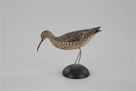 Miniature Curlew