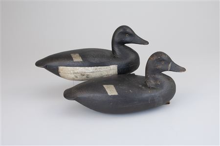 Hollow Bluebill Pair