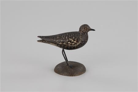 Early Miniature Black-Bellied Plover