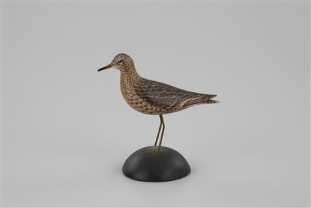Miniature Upland Plover