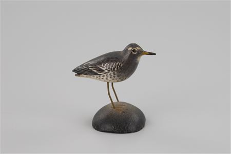 Miniature Purple Sandpiper