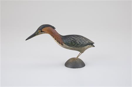 Miniature Little Green Heron