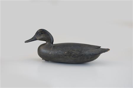 The O'Brien English Pintail Hen