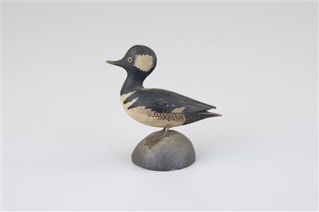 Miniature Hooded Merganser