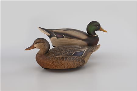 Mallard Pair