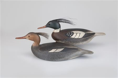 Red-Breasted Merganser Pair