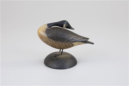 Miniature Preening Canada Goose