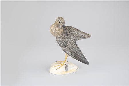 Preening Yellowlegs