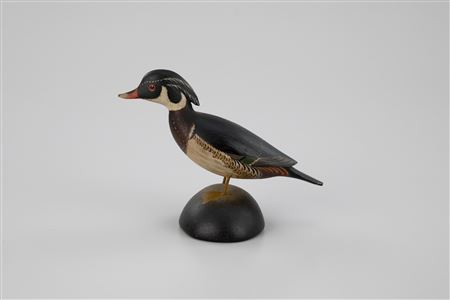 Large Special Miniature Wood Duck