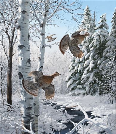 Winter Wonder - Ruffed Grouse