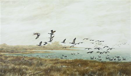 Hog Ranch Point - Black Brant by David Hagerbaumer - Auction record, sale price, and art valuation. Compare with similar artists and explore comparable artworks.