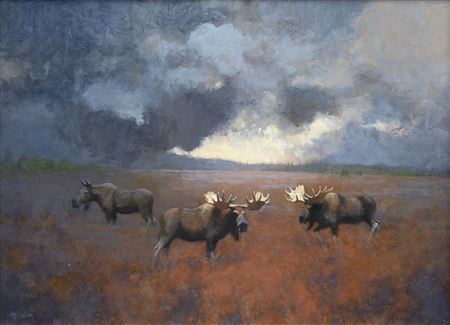 Tundra Storm Clouds - Moose