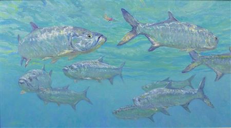 Eye on the Fly - Tarpon