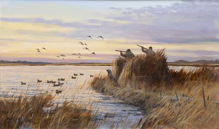 Here They Come- Duck Hunting