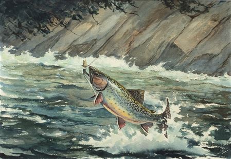 Leaping Brook Trout by William Schaldach - Auction record, sale price, and art valuation. Compare with similar artists and explore comparable artworks.