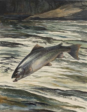 Atlantic Salmon