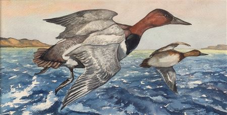 Two Watercolors