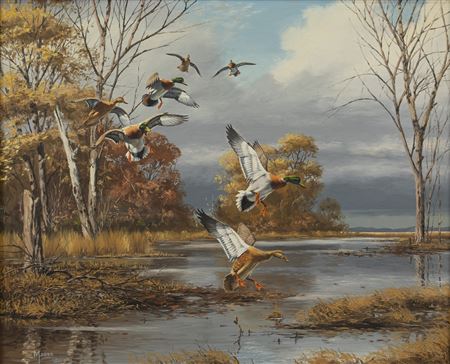 Incoming Mallards