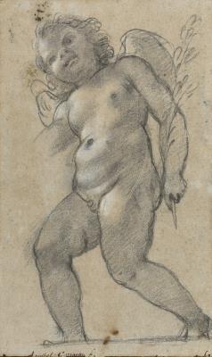Putto ailé, préparatoire pour la voûte du Palais Farnèse à Rome
