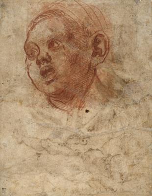 Étude de figures (recto); Tête de garçon levant les yeux (verso)