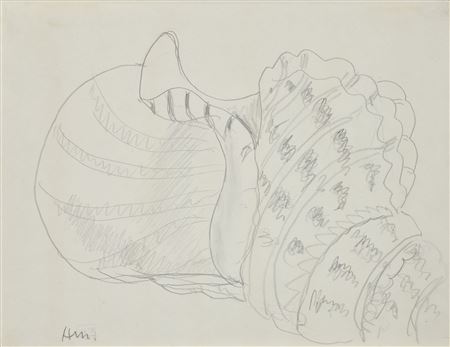 Coquillage, Étude pour Nature morte au magnolia