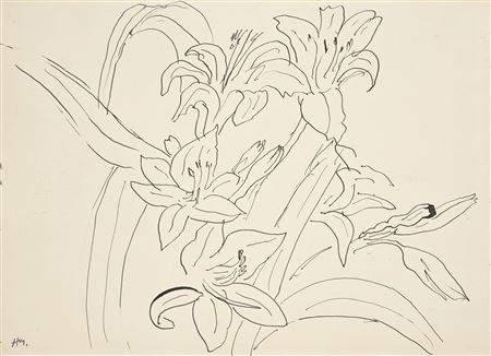 Étude de lys (recto et verso)