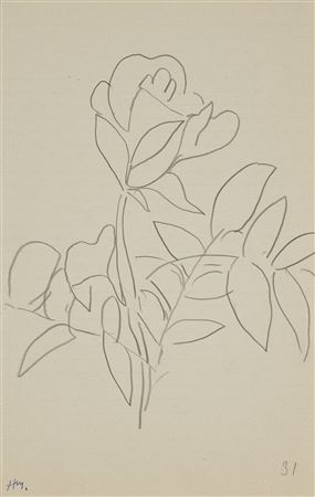 Rose (recto et verso)
