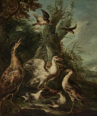 Butor et autres oiseaux dans un paysage   (Bitterns and Other Birds in a Landscape)