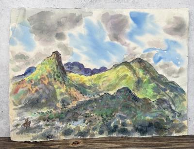 Shadows Green and Blue Alpine Texas