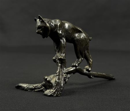 Bobcat