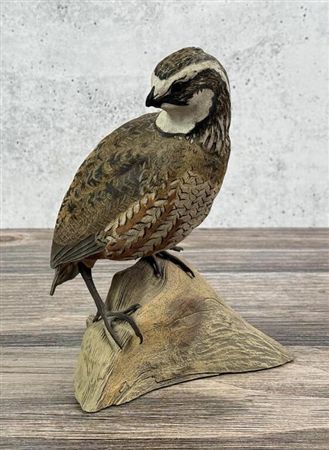 Bobwhite Quail