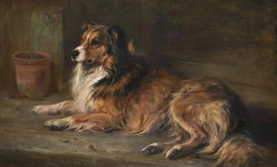 LADDIE, A COLLIE