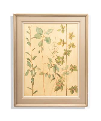 Willows, Dock and Bramble by Carolyn Cann Sergeant - Auction record, sale price, and art valuation. Compare with similar artists and explore comparable artworks.