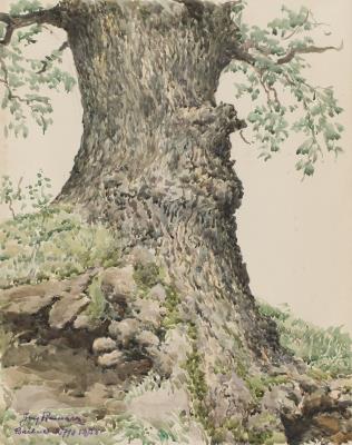 Oak Tree in Buchcice by Jozef Pieniazek - Auction record, sale price, and art valuation. Compare with similar artists and explore comparable artworks.