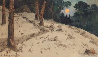 Forest Landscape in the Moonlight