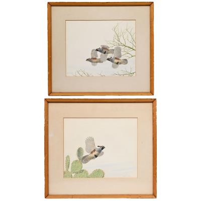 Pair of Watercolors of Quail in Flight