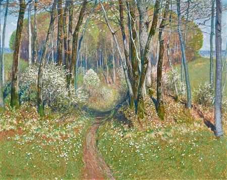 Forest path in spring