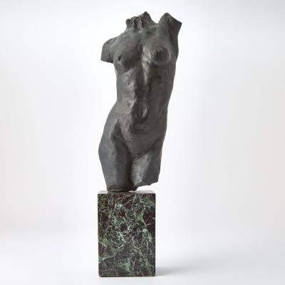 Torso