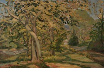 A Forest Path in Spring