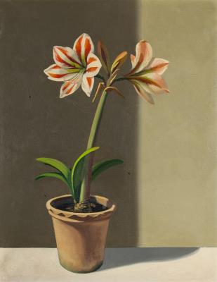 Amaryllis by Vincente Viudes - Auction record, sale price, and art valuation. Compare with similar artists and explore comparable artworks.