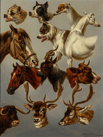 Animal Studies, 1814