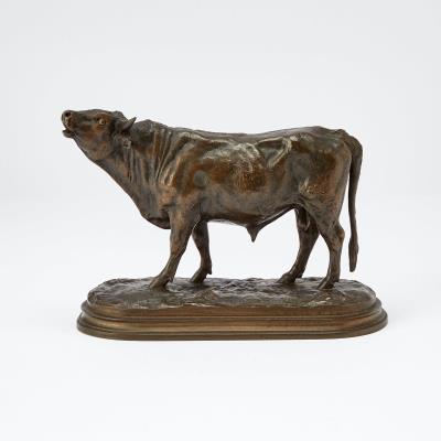 Bull